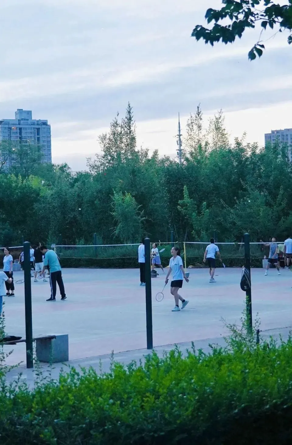 为什么智能监控是现代篮球训练不可或缺的工具_1